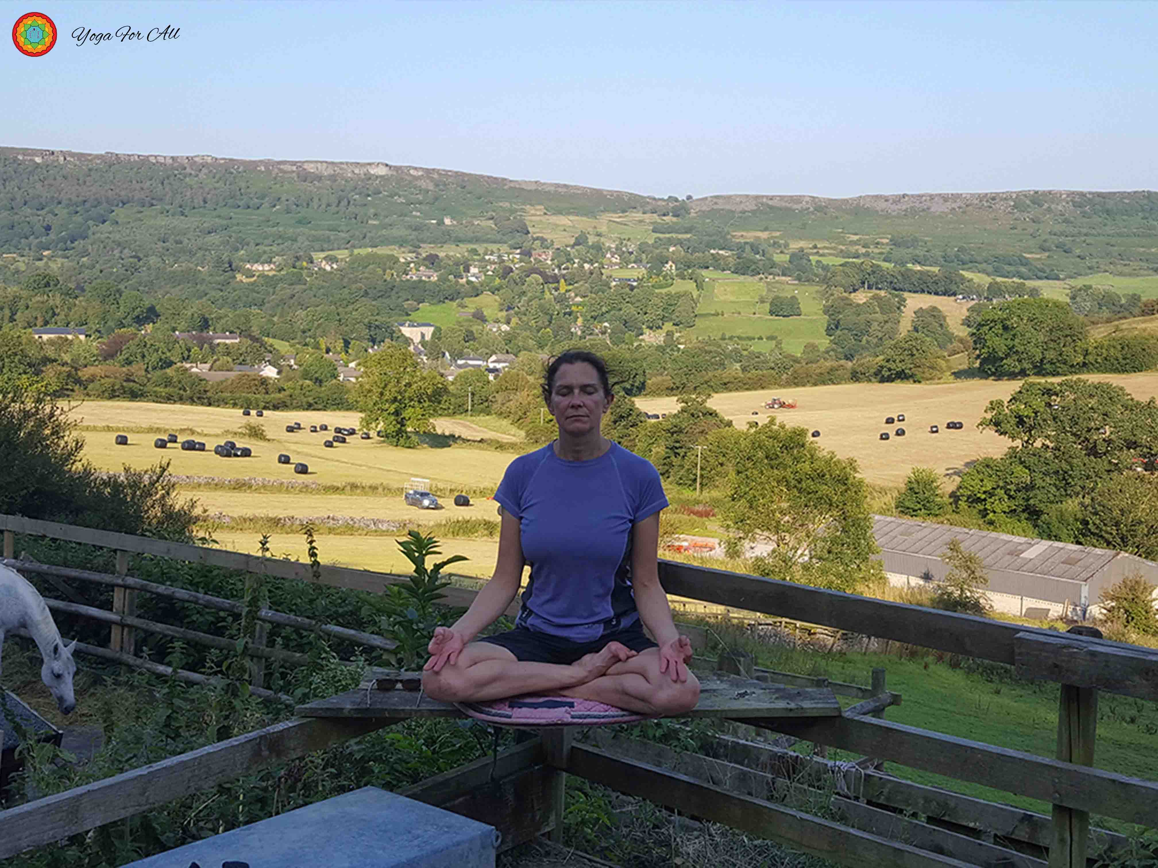 Yoga For All